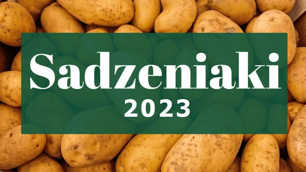 Oferta sadzeniaków na rok 2023 – AGROSAD